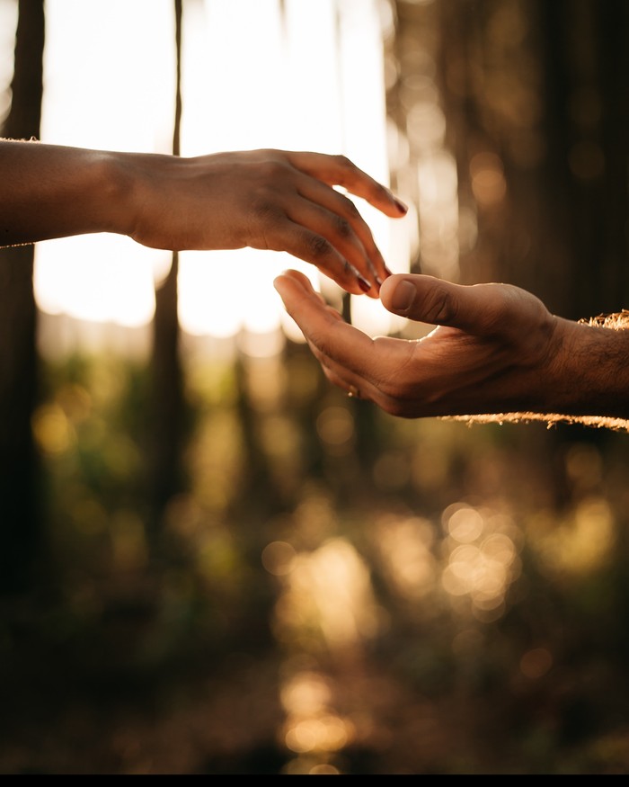 Two hands reaching for each other in golden light